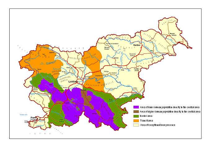 Brown bear areas in Slovenia