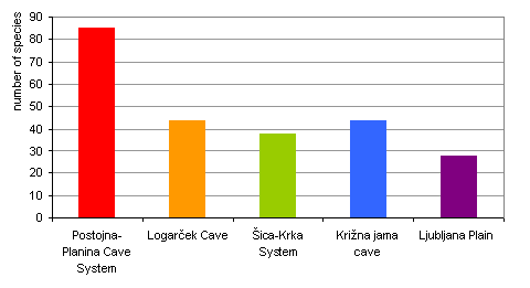 Number of cave-living species in selected sites in Slovenia with the highest subterranean biodiversity. (*Note: There are no terrestrial underground fauna in the interstitial water of the Ljubljana Plain)